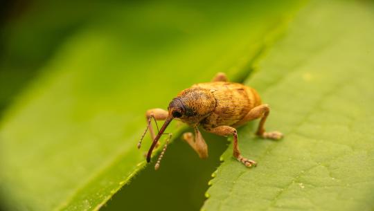Franz und seine Reise in die Welt der Menschen