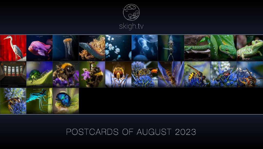 Neues Projekt auf skigh.tv!