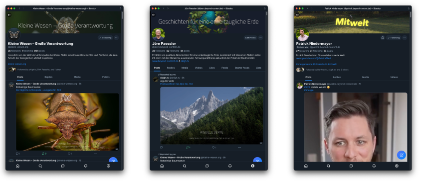 Das Bluesky von Jörn, Patrick Niedermayer und der kleinen Wesen