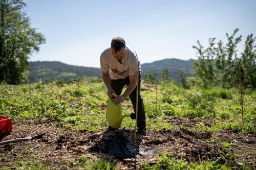 Michi gießt die eingepflanzen Bäumchen