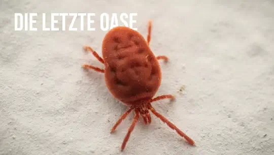 Episode 7: Die letzte Oase