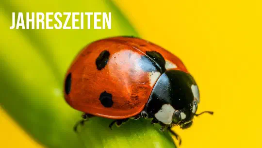 Episode 12: Jahreszeiten