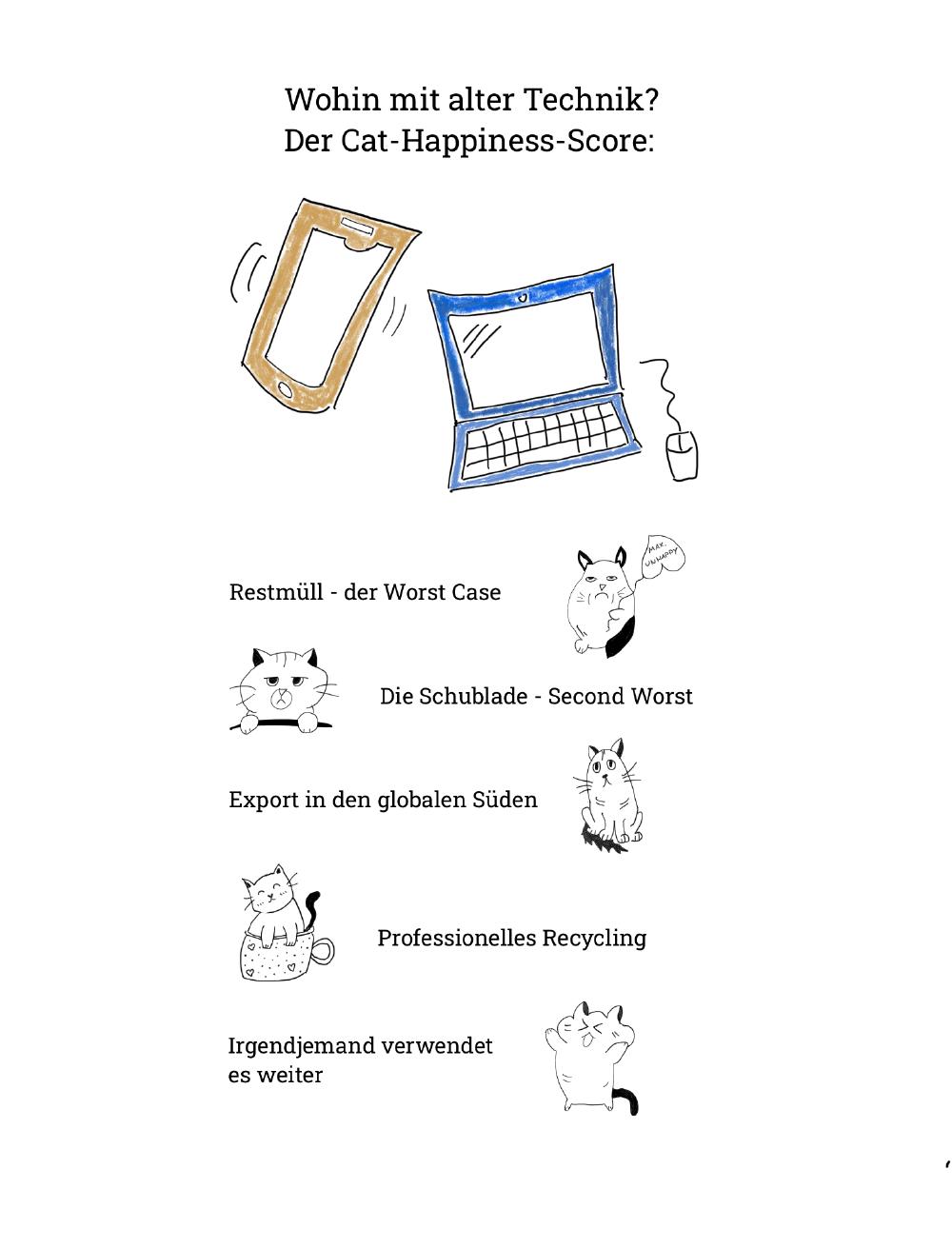5 Möglichkeiten, nur 2 davon findet die Katze OK