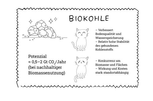 Biokohle ist ist eine (noch) zu unbekannte Option