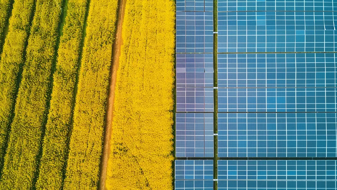 Ein Effizienz-Vergleich: 1 Quadratmeter ≠ 1 Quadratmeter