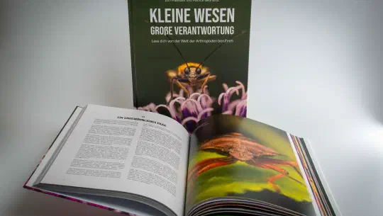 Buch: „Kleine Wesen – Große Verantwortung“