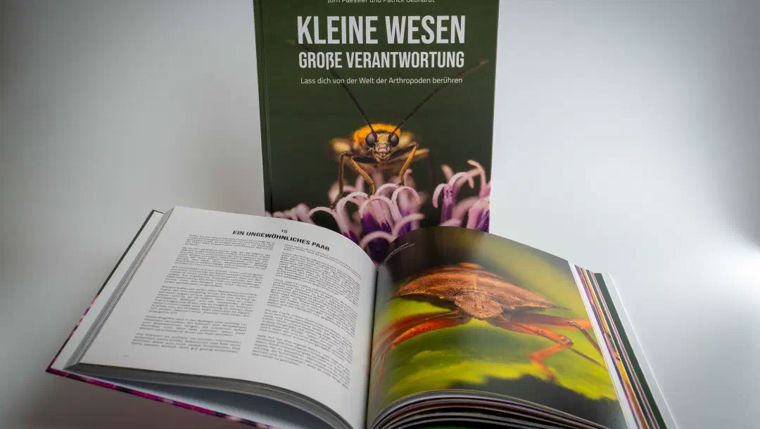 Buch: „Kleine Wesen – Große Verantwortung“