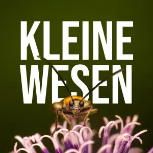 Kleine Wesen Podcasts