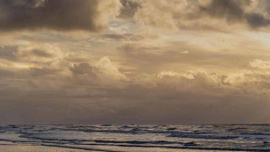 Artikel-, Video- und Podcast-Serien