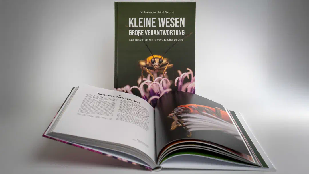 Unser Buch als Dank